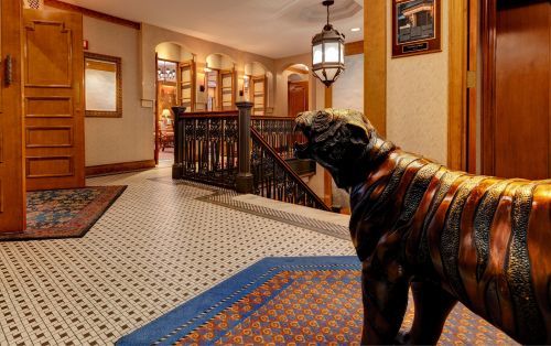 You can find our iconic, most photographed, Bogey the Tiger,on the second floor.